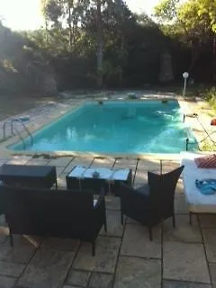 La Belle Cassidaine *